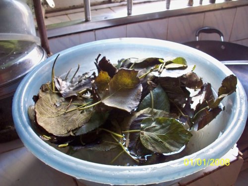 100_7965.JPG