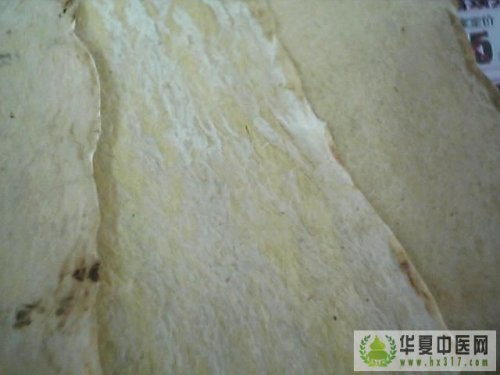 图片 011.jpg