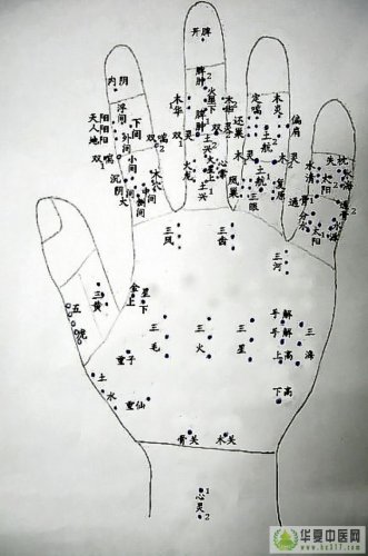 61058327866.jpg