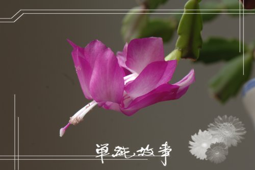 _AHB0236_1副本.jpg