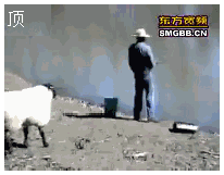 044e04ce7918ec3139cab7e2a25549b3.gif