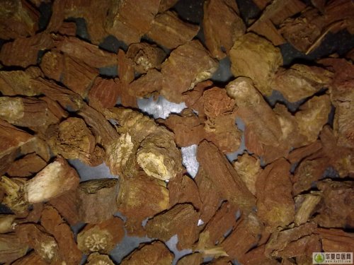 20110501001.jpg