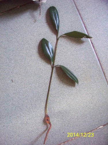 100_8153.JPG