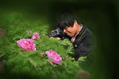 照片 490fu.jpg