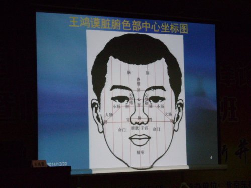 王鸿谟教授脏腑色部中心坐标图.JPG