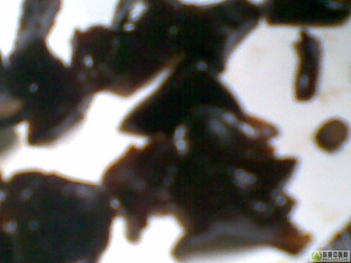 20110512(002).jpg