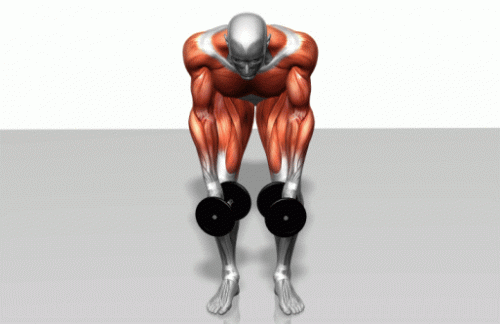 7.gif