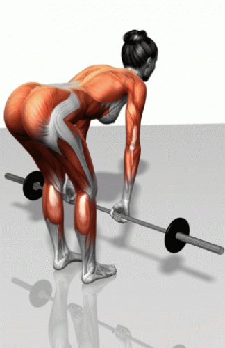 11.gif