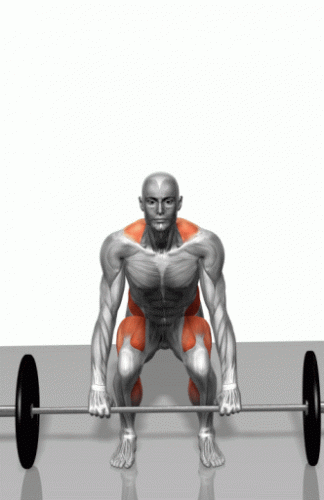13.gif