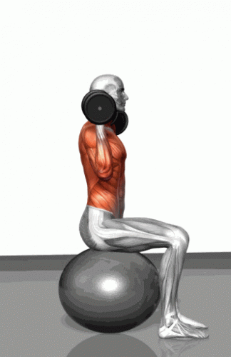 20.gif