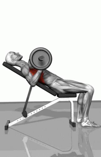 31.gif
