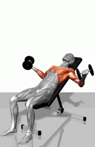 33.gif