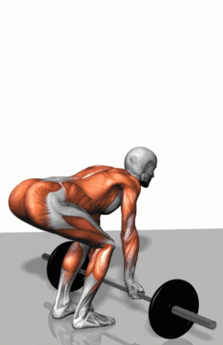 36.gif