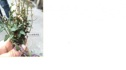 无标题.png