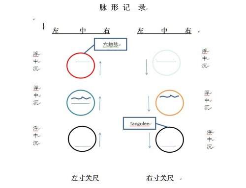 中医脉形记录.jpg