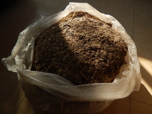 DSCN3116.JPG