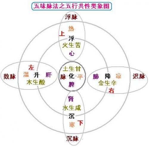 五味脉法之五行共性类象图.JPG