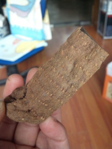天麻2.jpg