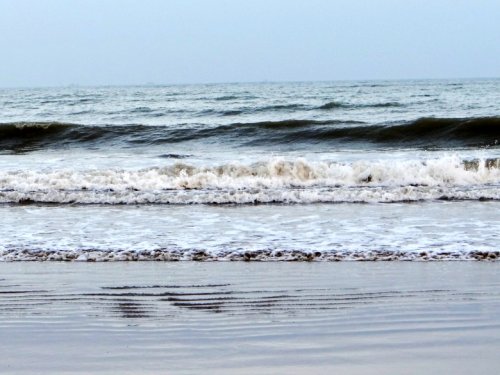 DSC07414_conew1.jpg