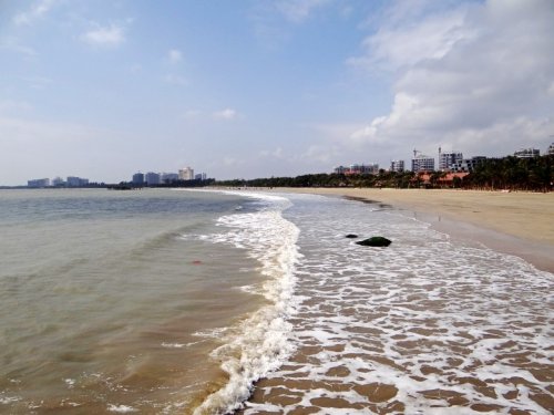 DSC07439_conew1.jpg