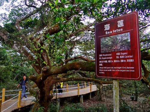 DSC07574_conew1.JPG