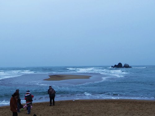 DSC07597_conew1.jpg