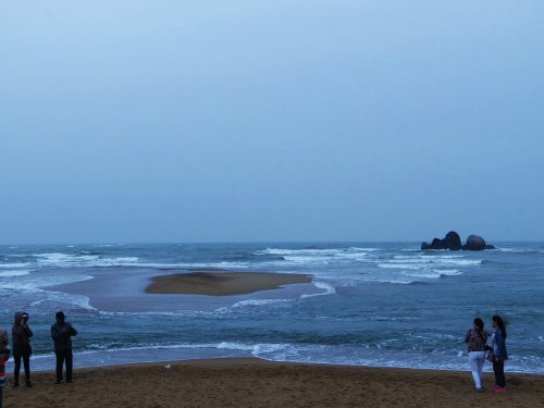 DSC07598_conew1.jpg