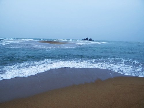 DSC07600_conew1.jpg