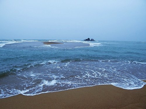 DSC07601_conew1.jpg