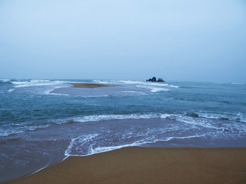 DSC07602_conew1.jpg
