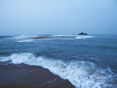 DSC07604_conew1.jpg