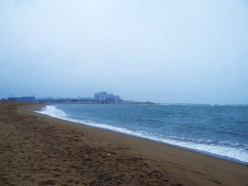 DSC07603_conew1.jpg