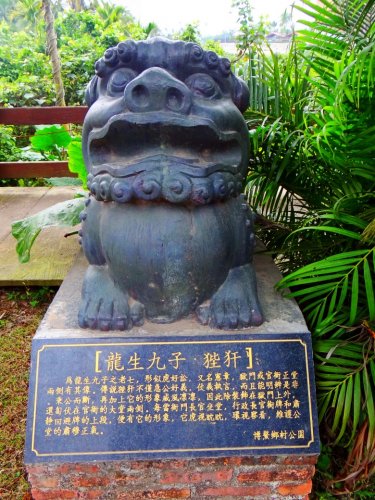 DSC07700_conew1.jpg