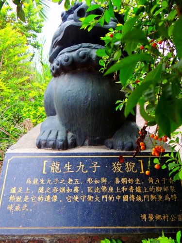 DSC07706_conew1.jpg