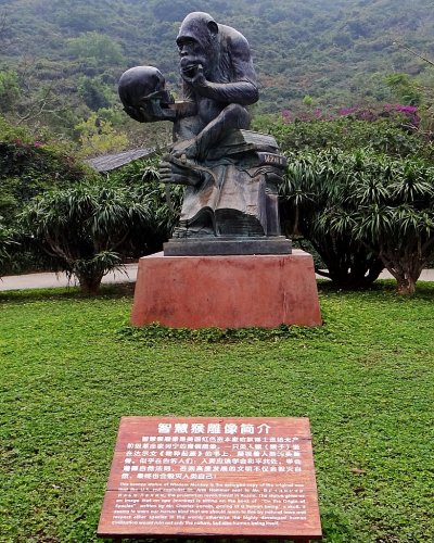 DSC08066_conew2.jpg