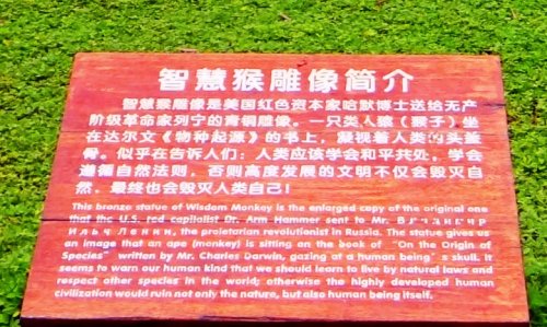 DSC08066_conew4.jpg