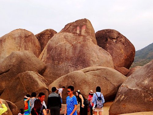 DSC08340_conew1.jpg