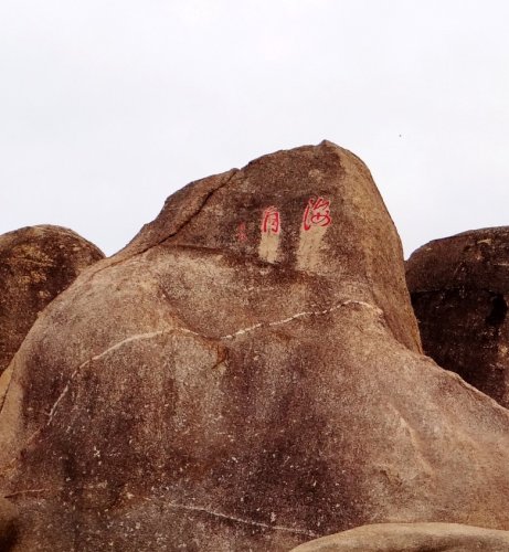 DSC08340_conew2.jpg