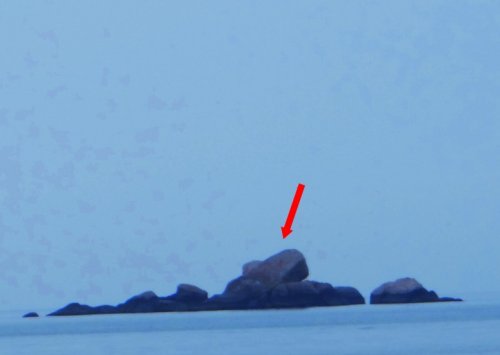 DSC08370_conew1.jpg