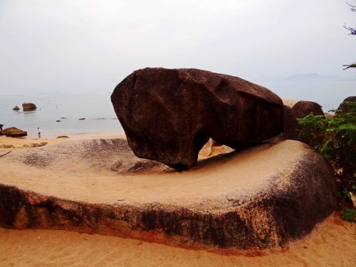 DSC08315_conew1.jpg