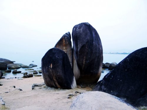 DSC08316_conew1.jpg