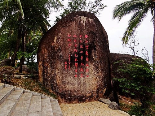 DSC08317_conew1.jpg