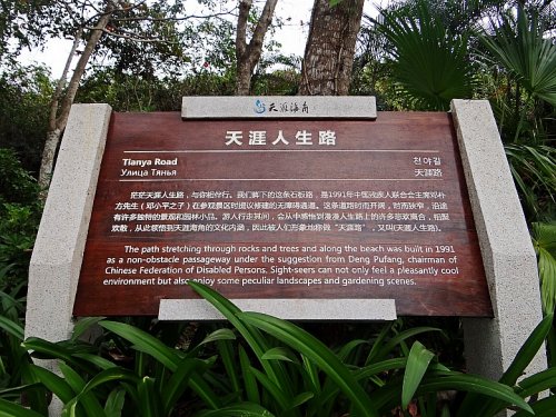 DSC08321_conew1.jpg