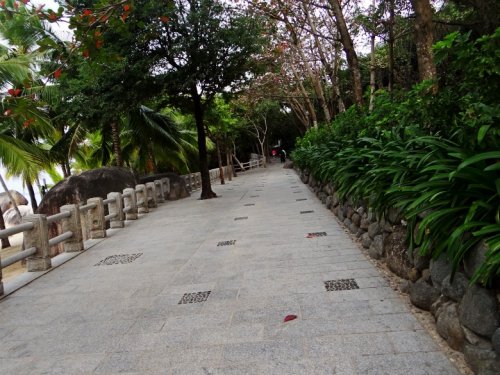 DSC08322_conew1.jpg
