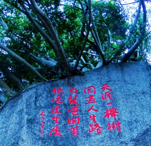 DSC08328_conew2.jpg