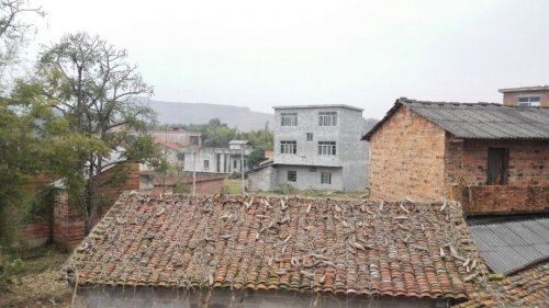 丝瓜.jpg