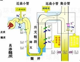 u=64749804,1285466718&amp;amp;fm=21&amp;amp;gp=0.JPG