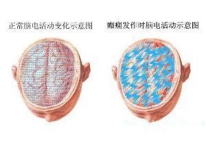 u=3904736472,157413149&amp;amp;fm=21&amp;amp;gp=0.JPG