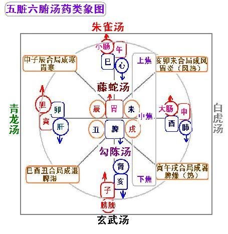 五脏六腑汤药类象图.JPG