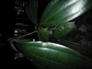 IMG_20150315_203412.jpg